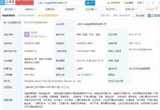 雷军卸任小米金融董事背后 金融知识流程外包（KPO）的专业化趋势